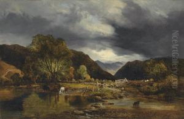 Borrowdale, Cumbria - view 1