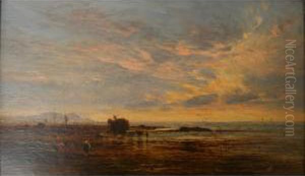 Workers Gathering Seaweed On The Shore At Sunset - view 1