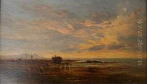 Workers Gathering Seaweed On The Shore At Sunset