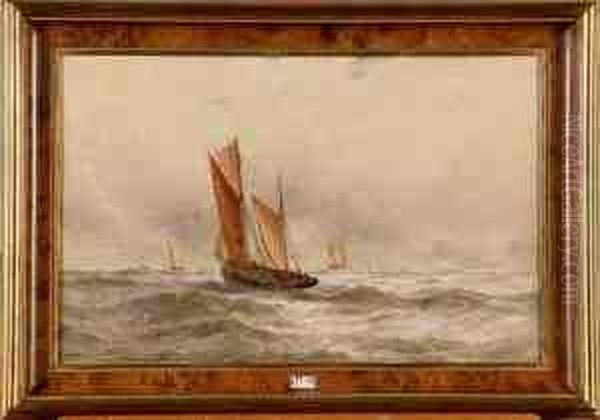Marine - view 1