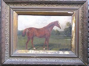 Portrait On A Horse