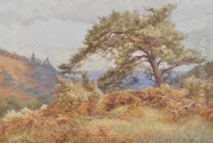 On Holmbury Hill by Frank Walton