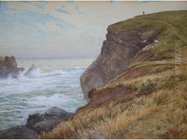 Under The Old Lizard Head - view 1