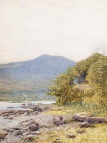 Loch Melvin - view 1