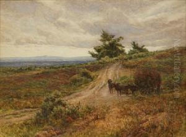 Looking Toward South Downs - view 1