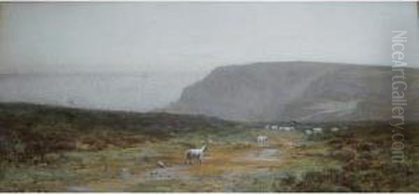 Sheep On A Clifftop Path - view 1