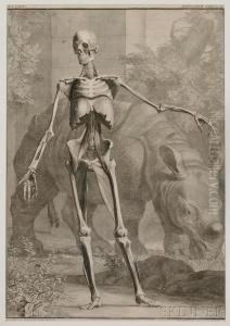 Musculorum, Tabula Iv by Jan Wandelaar