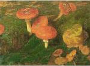 Mushrooms by Marie Wandscheer
