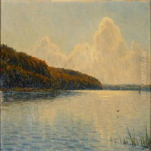 Scene From Fureso Lake - view 1