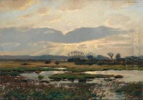 Moorlandschaft - view 1