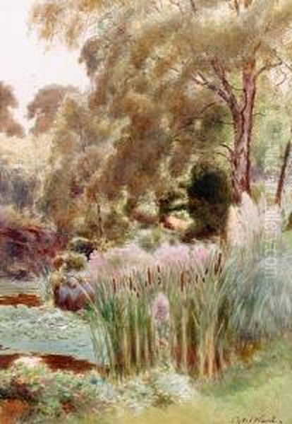A Corner Of The Upper Lake, Sandringham - view 1