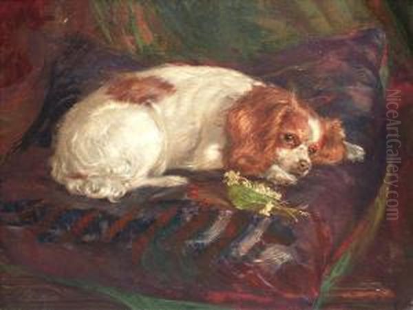 Portraitof Ruby, A King Charles Spaniel - view 1