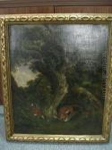 Foxes With Mallard In A Wooded Landscape