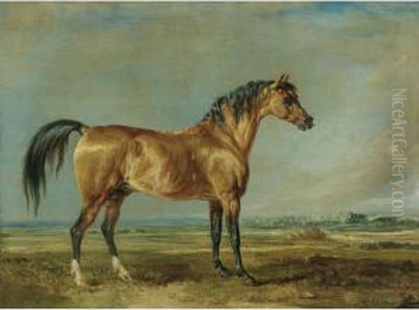 The Marquess Of Londonderry's Arabian Stallion In A Landscape - view 1