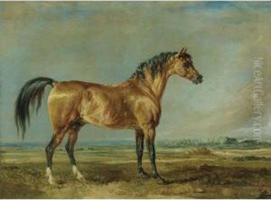The Marquess Of Londonderry's Arabian Stallion In A Landscape