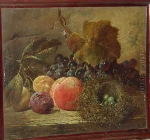 Black Grapes, Plums, A Peach And A Bird's Nest On A Wooden Ledge by James Charles Ward
