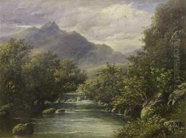 Trout Fishing - view 1