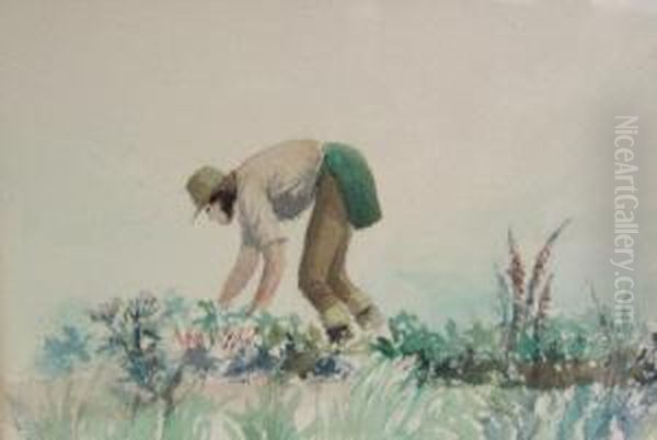 Ward - Potato Worker - view 1