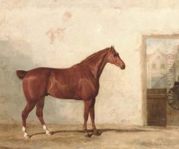 A Thoroughbred In A Stable - view 1