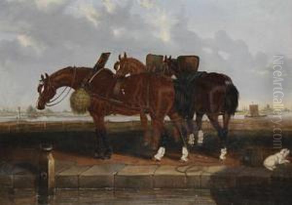 Barge Horses By A Canal - view 1
