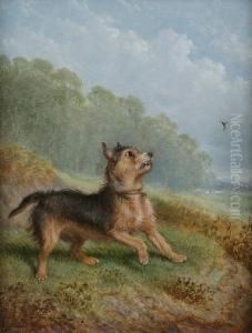 Friend Or Foe by Martin Theodore Ward
