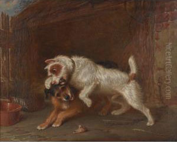 Terriers Claiming A Bone - view 1