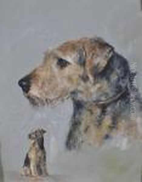 Study Of An Ayrdale Terrier - view 1