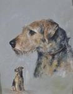 Study Of An Ayrdale Terrier by Arthur Wardle