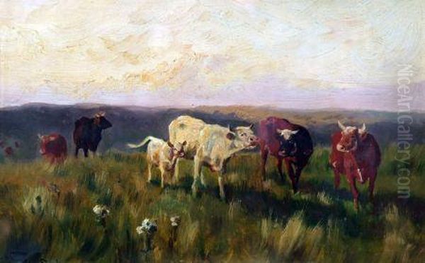 Cows In A Field - view 1