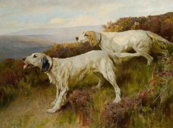 Two English Setters On A Moor - view 1