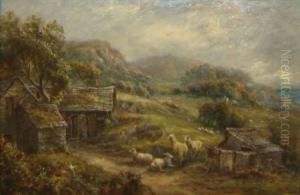 Country Landscape With Sheep And Buildings