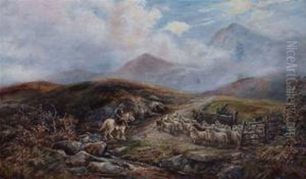 Sheep Drover - view 1