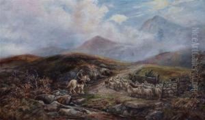 Sheep Drover