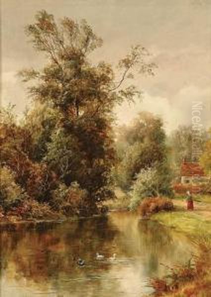 The Duck Pond - view 1