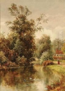 The Duck Pond