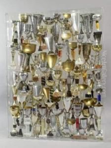 Trophees by W. Warman