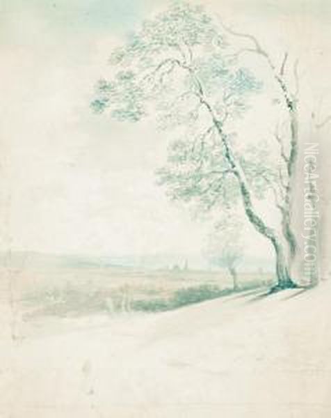 Mostly Rural Landscapes - view 1