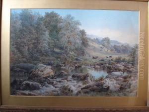 Woodland Scene Of The River Lledr,wales Woodland Scene Of The River Lledr,wales