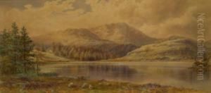 Tarn Hows