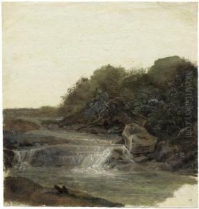 Kleine Stromschnelle Mit Felsbrocken Und Gebusch