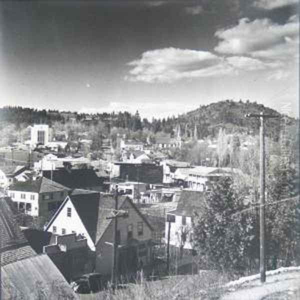 Northern California Architecture - view 1