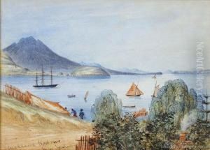 Auckland Harbour From Commercial Bay by Henry James, Colonel Warre