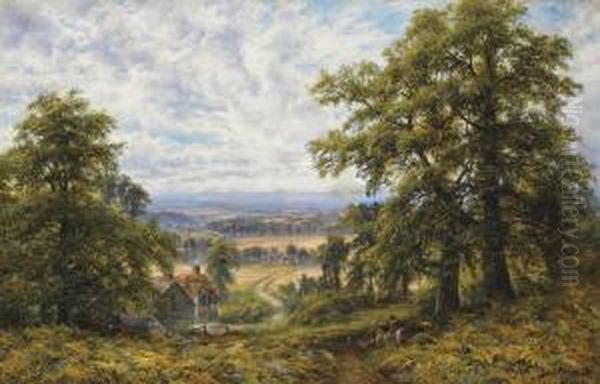 Extensive Landscape - view 1