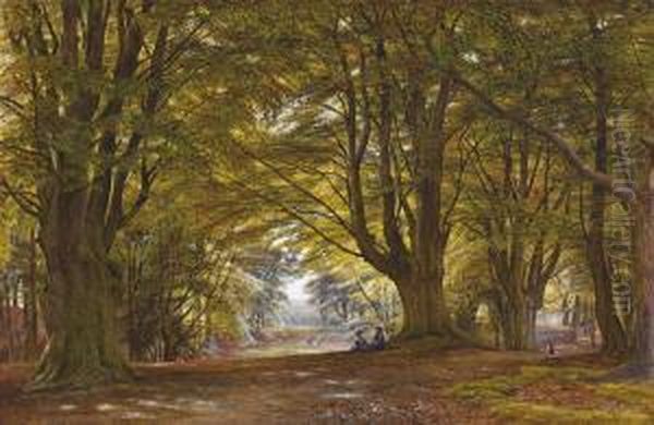 Playing In The Beech Wood - view 1