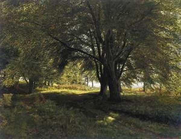 A Young Boy Resting In A Wooded Glade - view 1