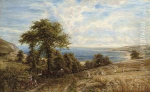 Harvesting On The Coast