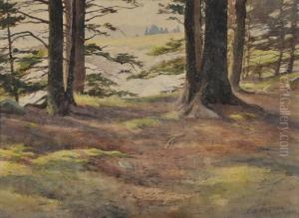 The Edge Of The Wood - view 1