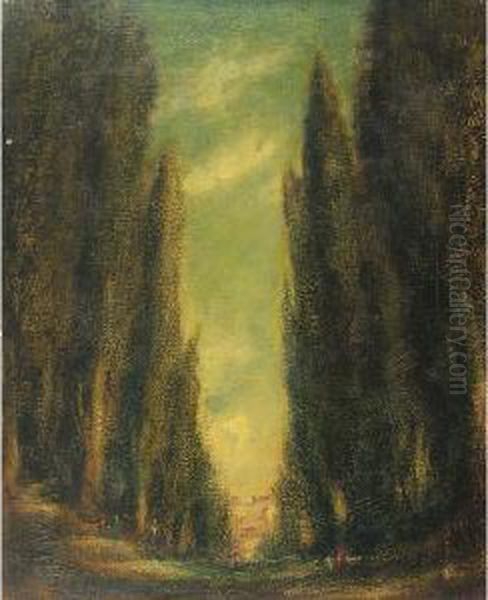 Cipressi - view 1