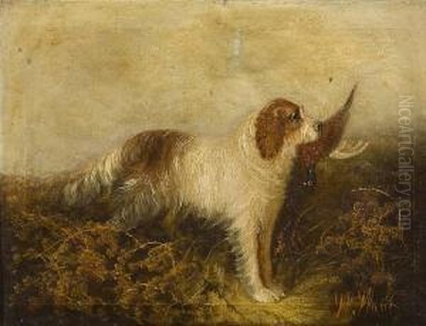Spaniel And Pheasant - view 1