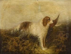 Spaniel And Pheasant by Andrew W. Warren